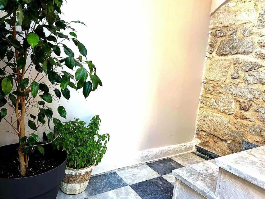 Ammoudara'S Apartments Rooftop Kálymnos エクステリア 写真
